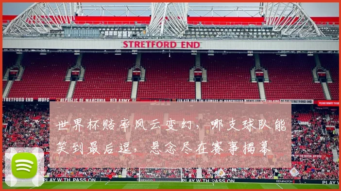世界杯赔率风云变幻，哪支球队能笑到最后逗，悬念尽在赛事揭幕