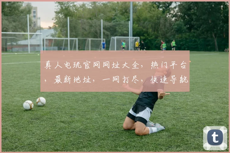 真人电玩官网网址大全，热门平台，最新地址，一网打尽，快速导航，轻松畅玩