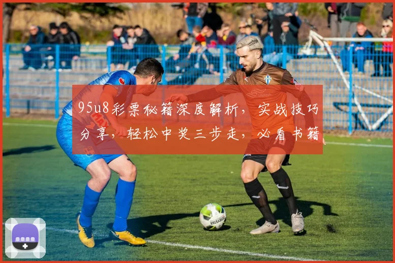 95u8彩票秘籍深度解析，实战技巧分享，轻松中奖三步走，必看书籍，不容错过