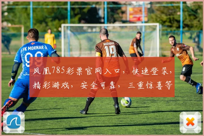 凤凰785彩票官网入口，快速登录，精彩游戏，安全可靠，三重惊喜等你来