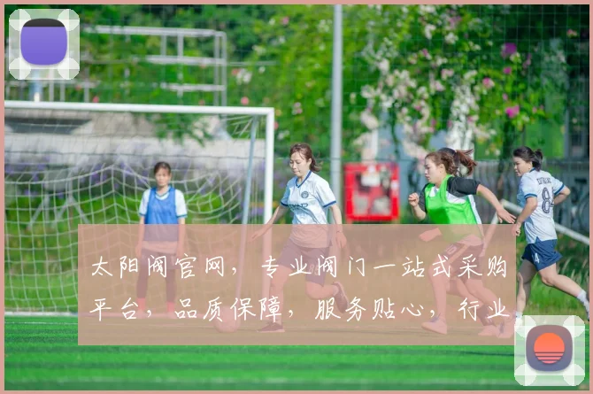 太阳阀官网，专业阀门一站式采购平台，品质保障，服务贴心，行业领先，三重优势，为您保驾护航