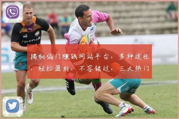 揭秘偏门赚钱网站平台，多种途径，轻松盈利，不容错过，三大热门项目，揭秘中